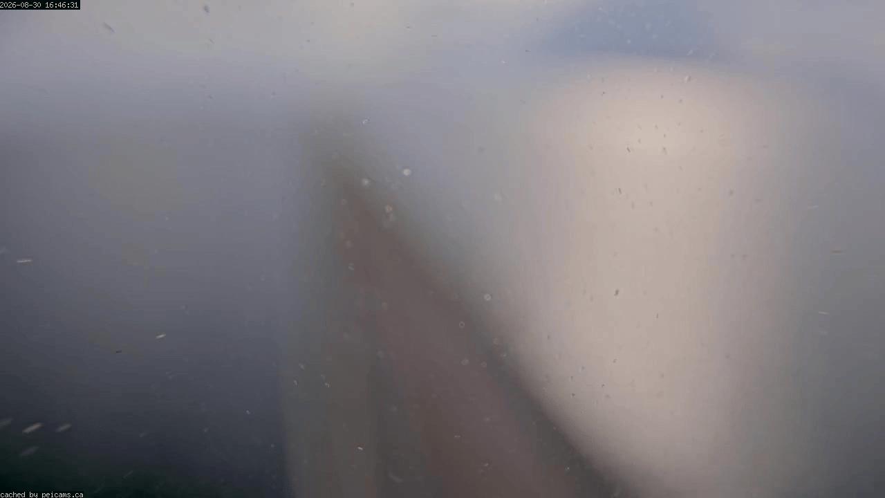Web Cam image of Confederation Bridge