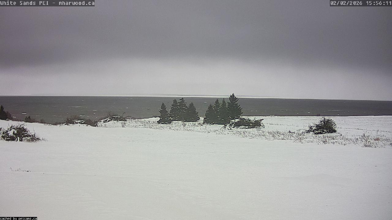 Web Cam image of White Sands