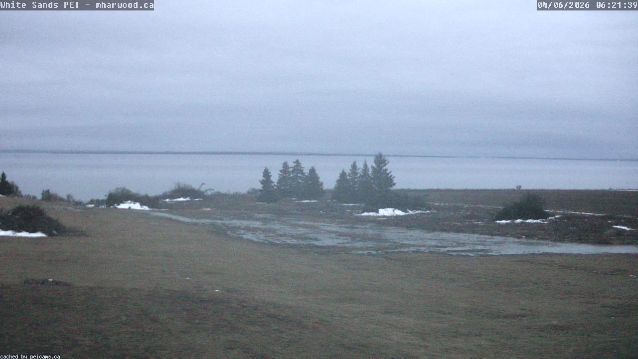 Web Cam image of White Sands