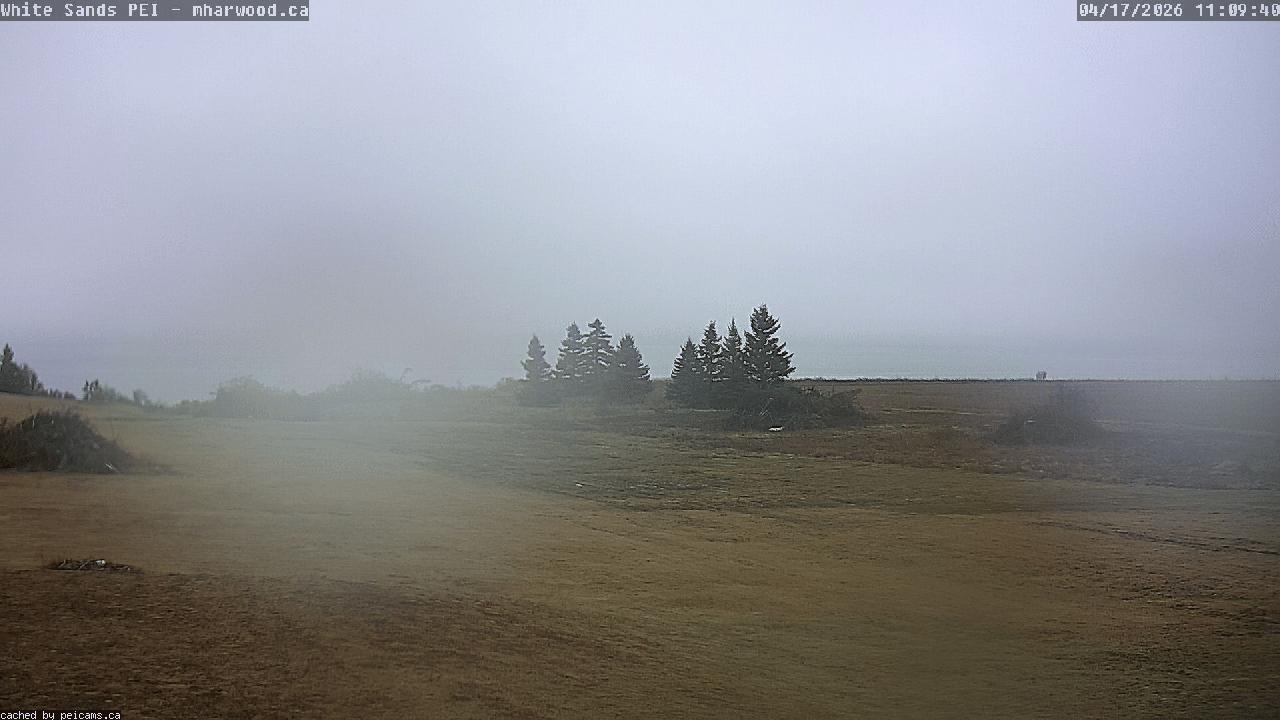 Web Cam image of White Sands