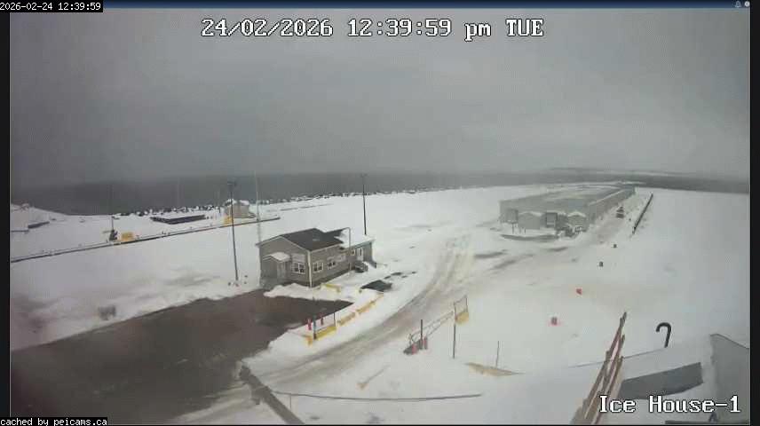 Web Cam image of Souris Harbour