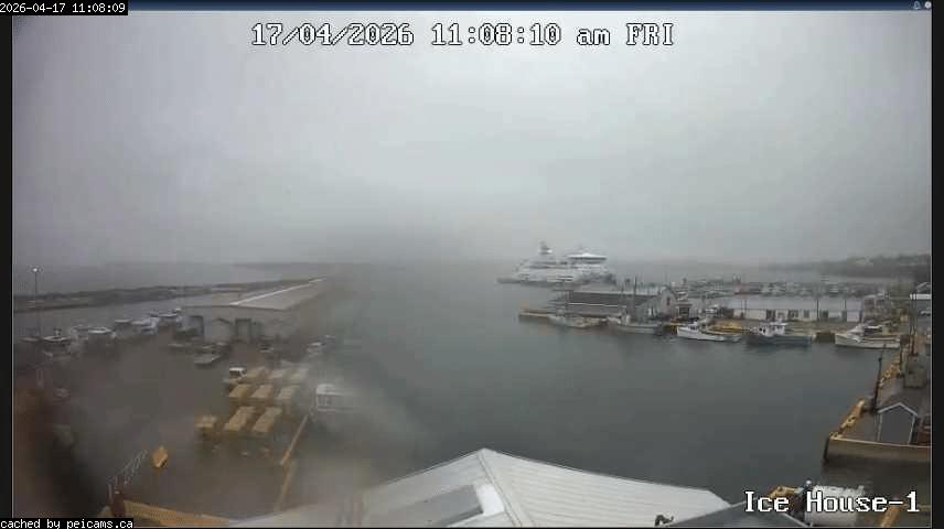 Web Cam image of Souris Harbour